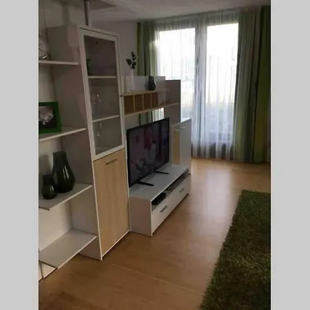 Bitzenstrasse Apartmán *